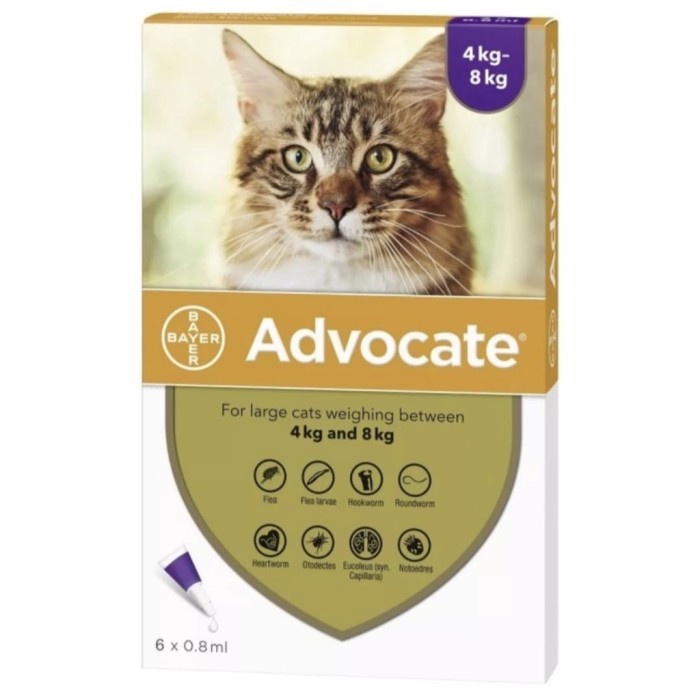 Hills Bayer Advocate Cat (L) - Obat Kutu Untuk Kucing 4-8kg