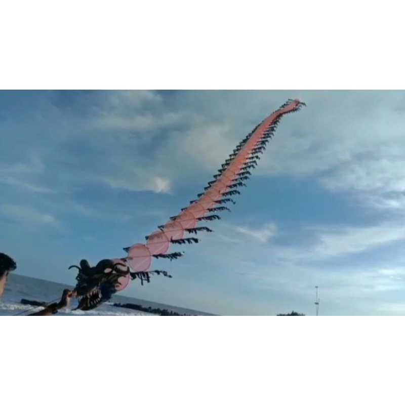 kepingan layangan naga 50 keping lebih jelasnya lihat deskripsi