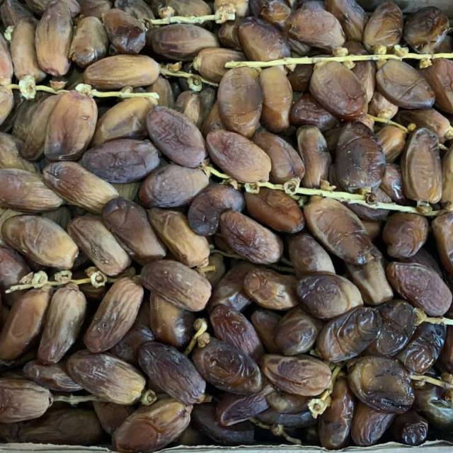 

Kurma Tangkai Tunisia