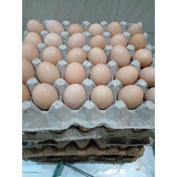 

Telur Ayam Negri harga 250gr/500/telur puyuh