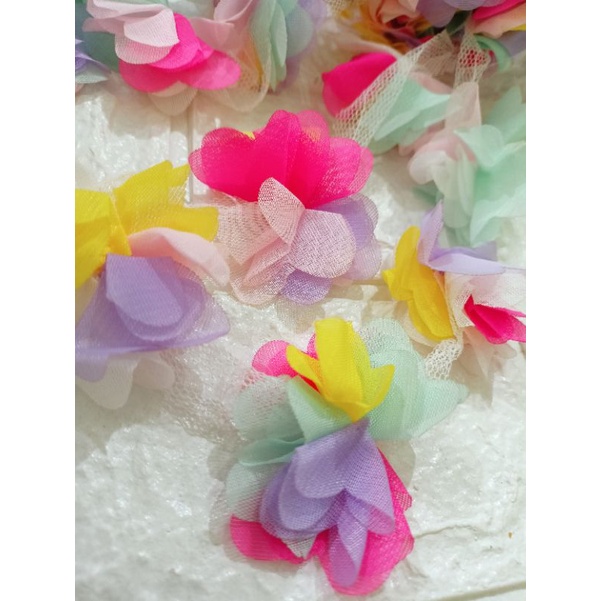 Bunga Frill Rainbow