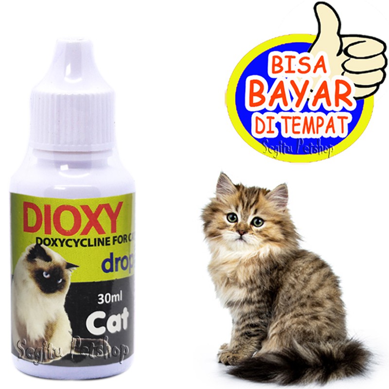 OBAT DEMAM FLU PILEK DIARE MUNTAH KUCING ANTI BAKTERI ANTIBIOTIK DIOXY
