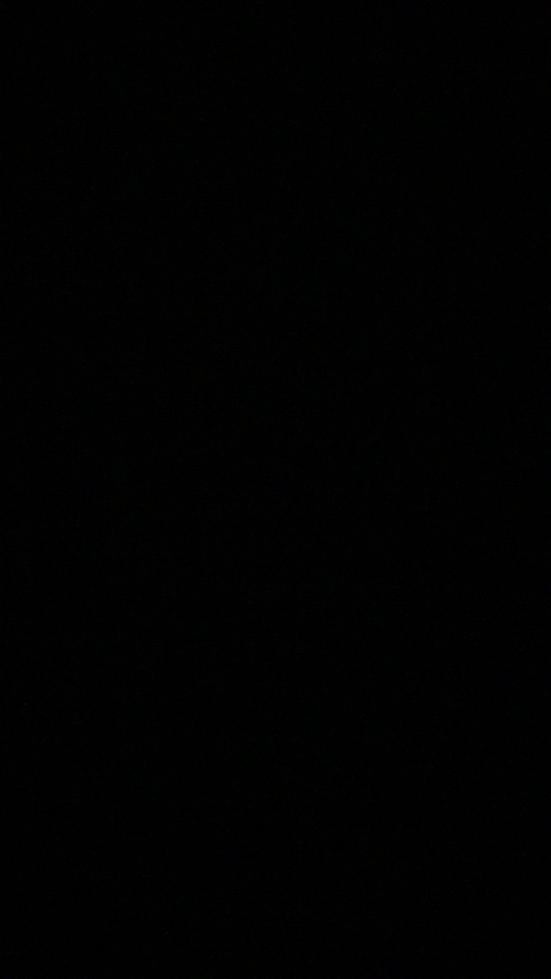 Bhatara Batik Kebaya Lace