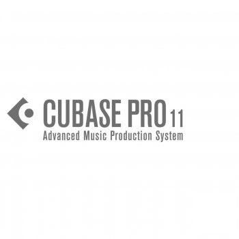 Cubase 11 Pro