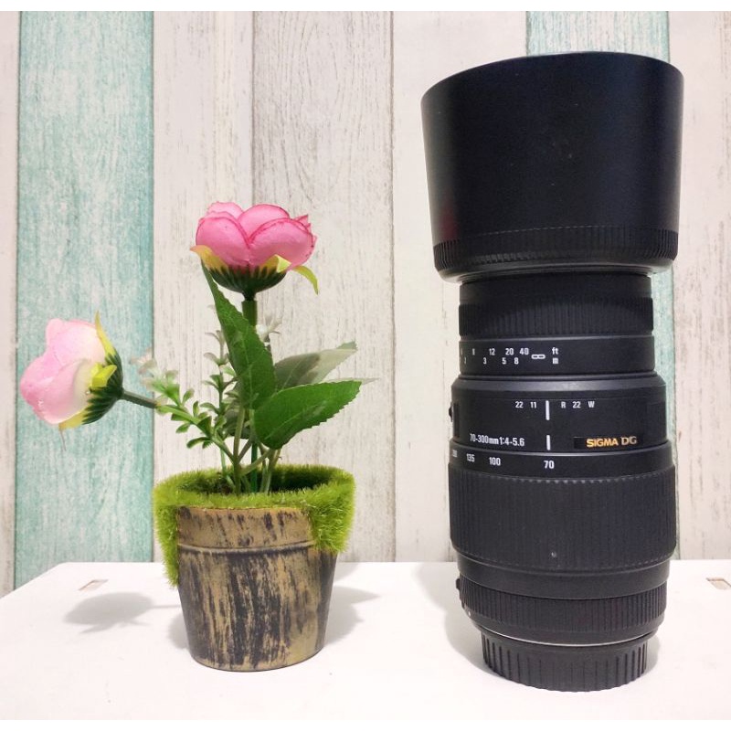 Lensa Sigma 70-300 mm For Canon