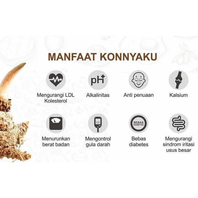 

IL4S TEPUNG KONNYAKU SHIRATAKI KONJAC FLOUR 250 GRAM RMBN