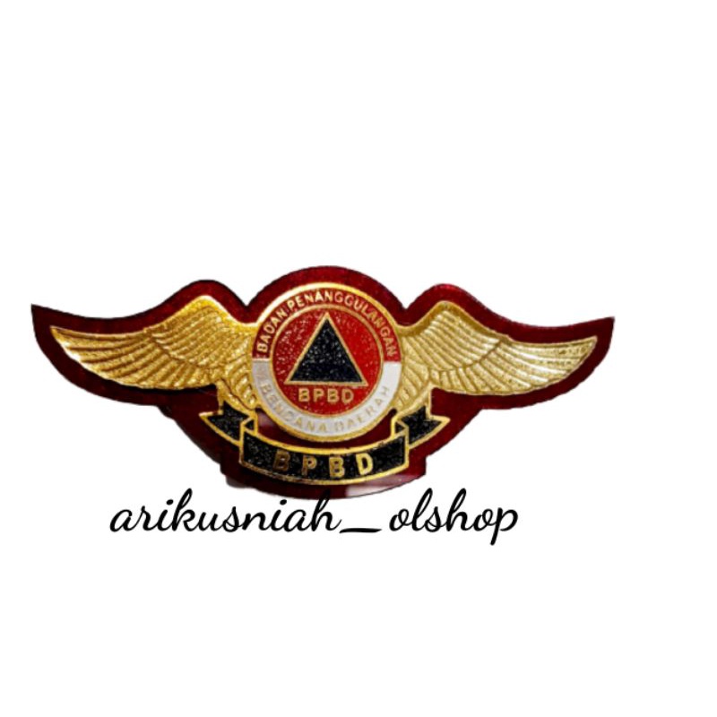 pin BPBD/wing BPBD magnet