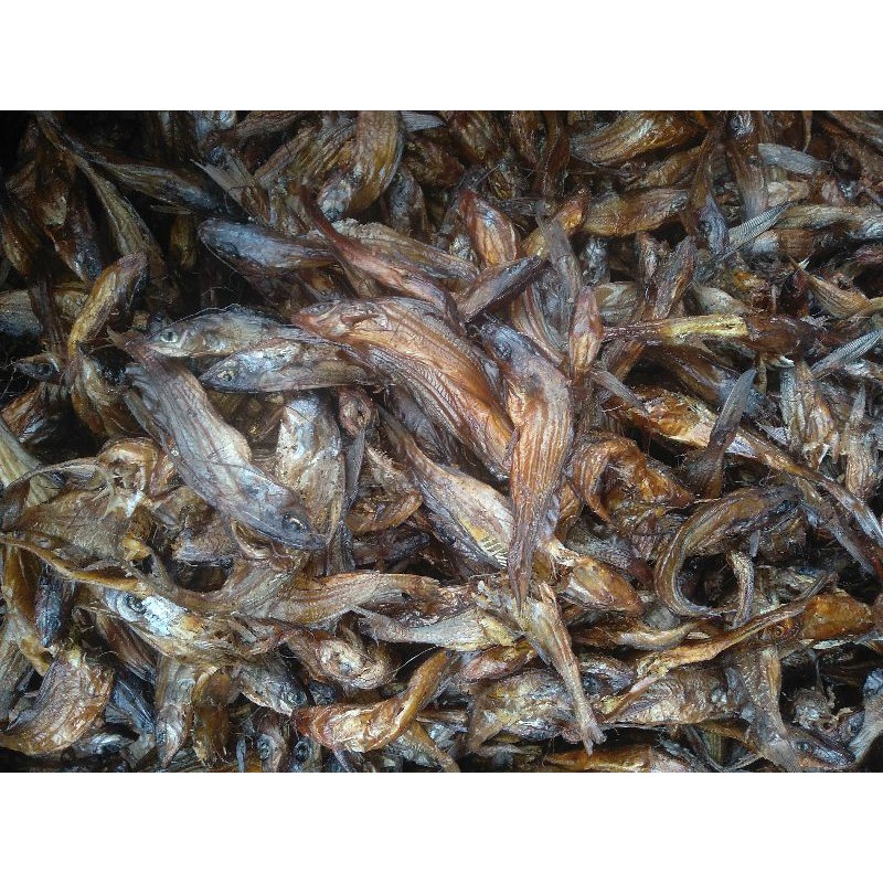 

Ikan Salai Tundiak