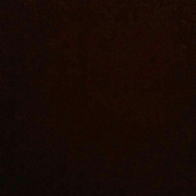 Food Pail - Rice Box, Kotak Bento Polos (l)