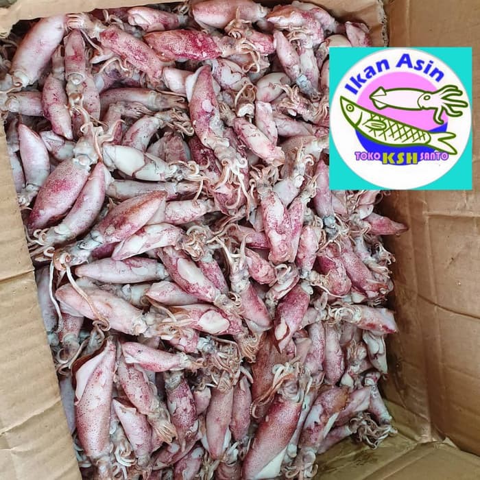 

ikan asin cumi 1kg