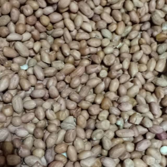 

Kacang tanah 1Kg