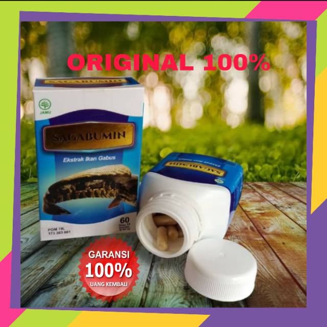 kapsul pro ikan gabus kapsul albumin pil pill  kutuk original ( BPOM Resmi ) sagabumin