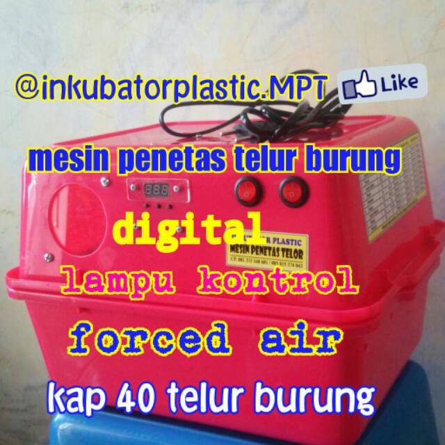 Inkubator plastik penetas telur