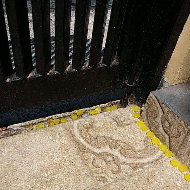 Gel Pengusir Kucing Kemasan Jumbo 350 Gram Jelas Lebih Hemat