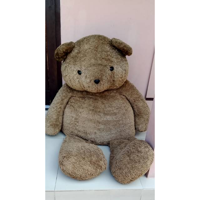 Teddy bear ori teddy house