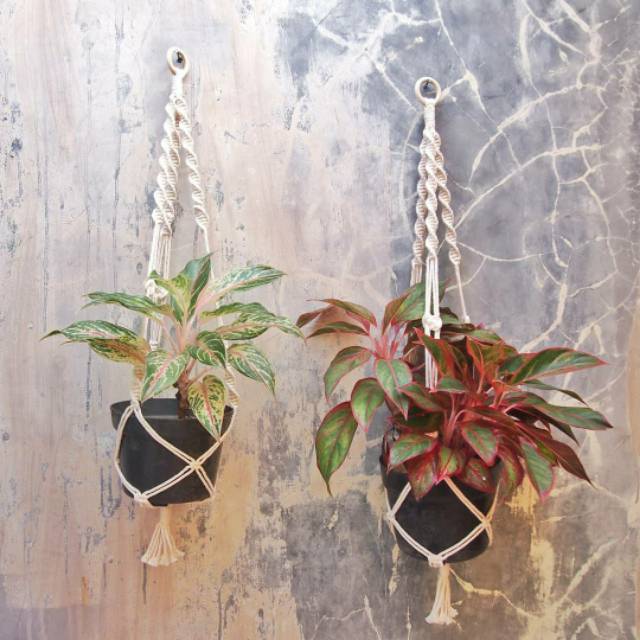 Macrame Pot Hanger / Gantungan Pot Macrame