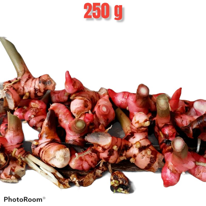 

lengkuas merah fresh