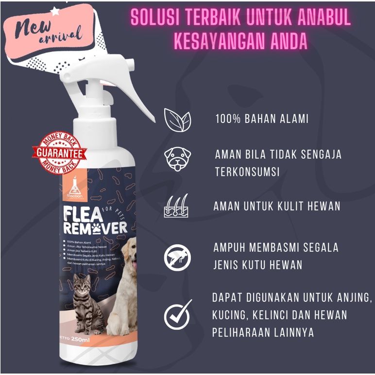 RACOON Obat Kutu Hewan Anjing &amp; Kucing Bahan Alami / Flea Remover