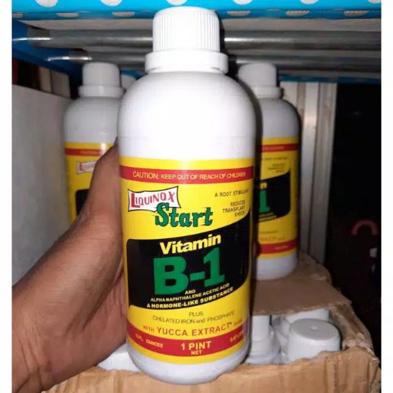 LIQUINOX VITAMIN B1 500 ML HORMON PUPUK CAIR ZPT ORIGINAL