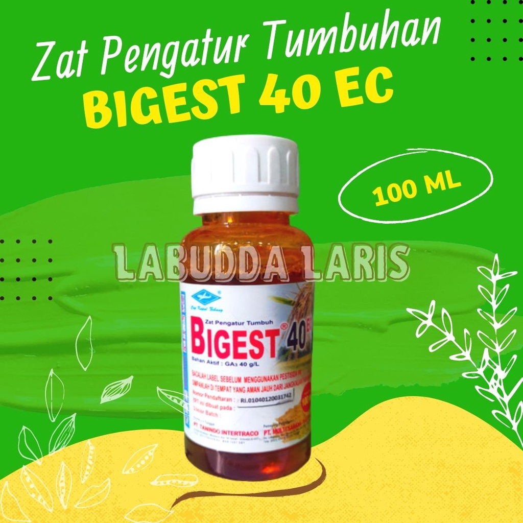 Bigest Zpt Bigest 40 ec Zat Pengatur Tumbuh Bigest 100ml Zpt Bigest 40 ec 100 ml Bigest Zpt Pertumbu