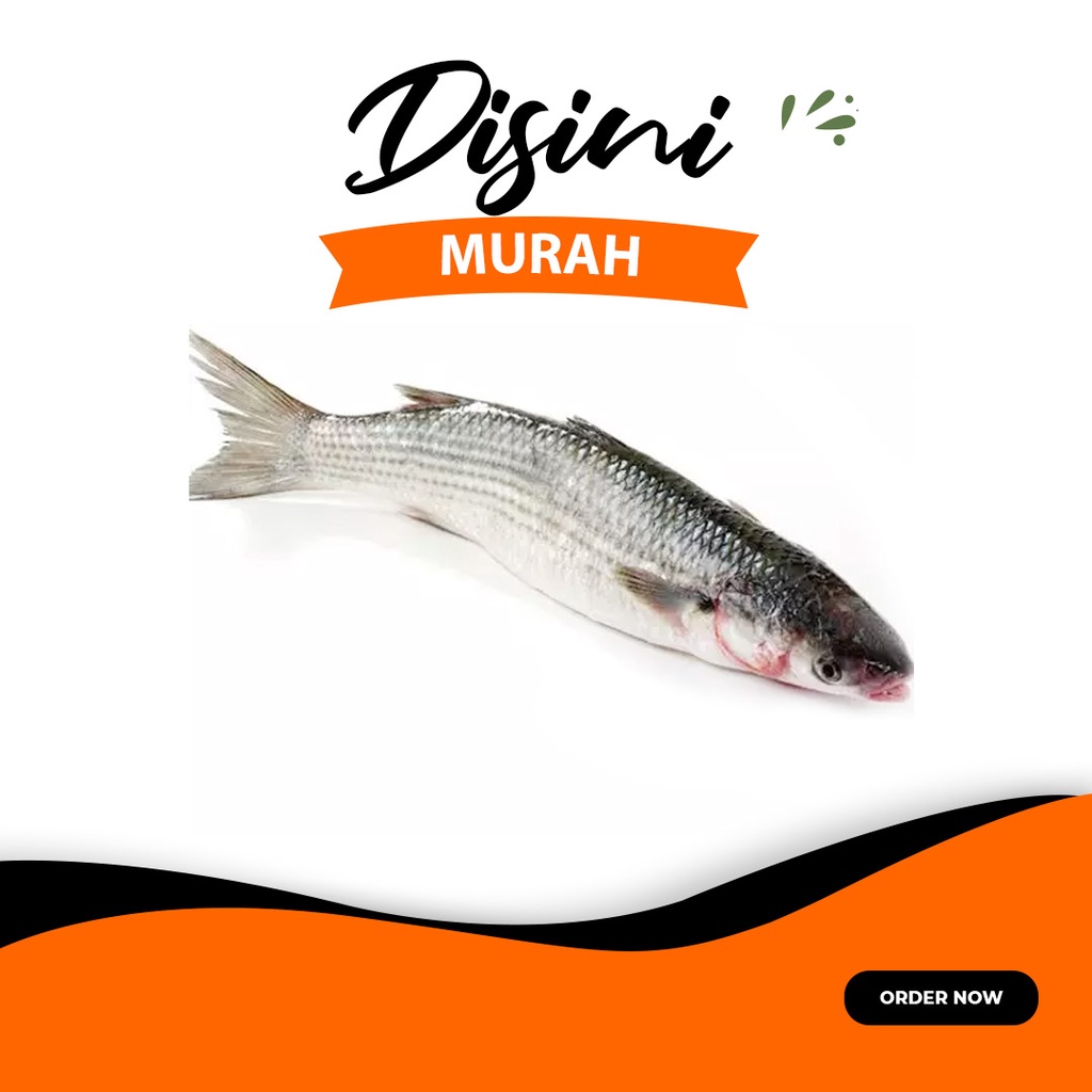 

ikan belanak / blanak per 500gram