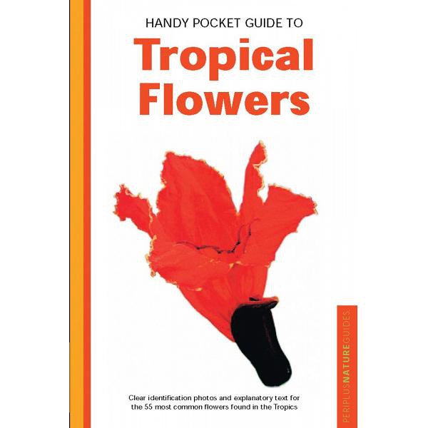 Handy Pocket Guide to Tropical Flowers - 9780794601874 - Buku Ori Periplus