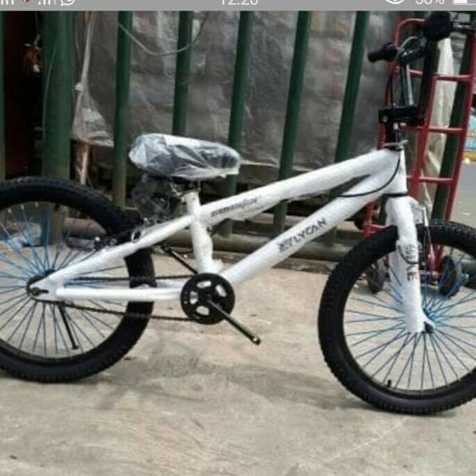 Sepeda Bmx Senator 20 Lycan