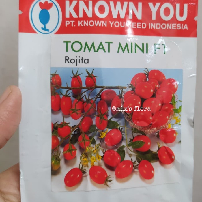 Bibit Buah Tomat Cherry F1