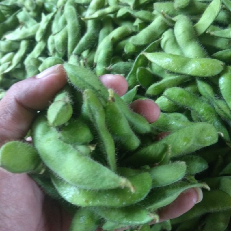 

edamame fres kwalitas super/2kg