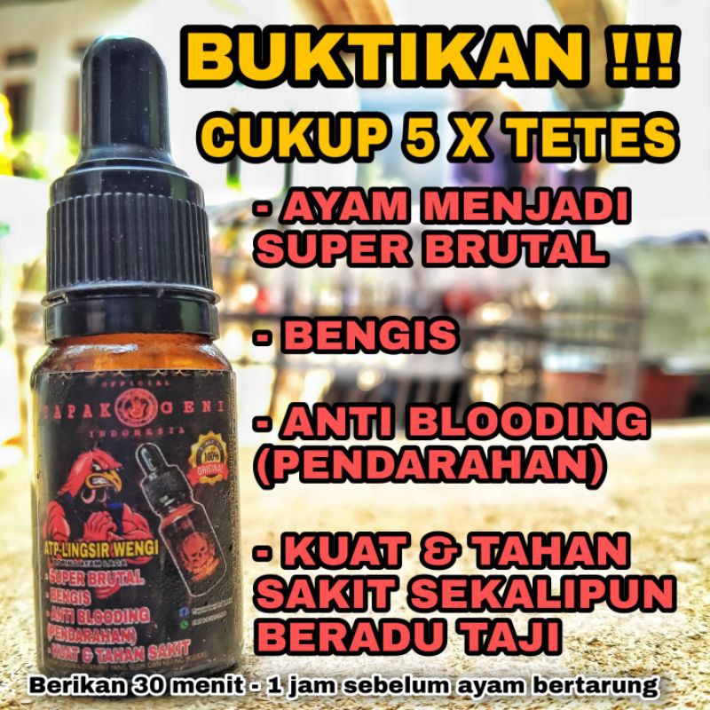 DOPING AYAM LAGA ATP-LINGSIR WENGI