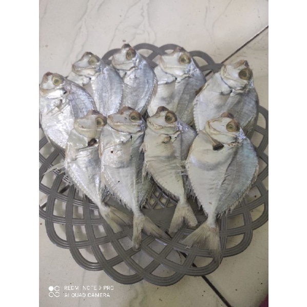 

Ikan Asin Petek 1/4 kg