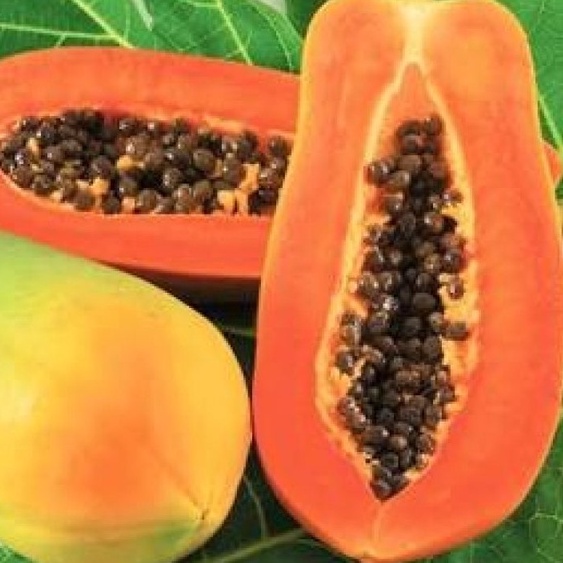 

PEPAYA CALIFORNIA PAPAYA - SUKABUAH