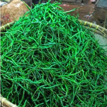 

cabe rawit keriting segar