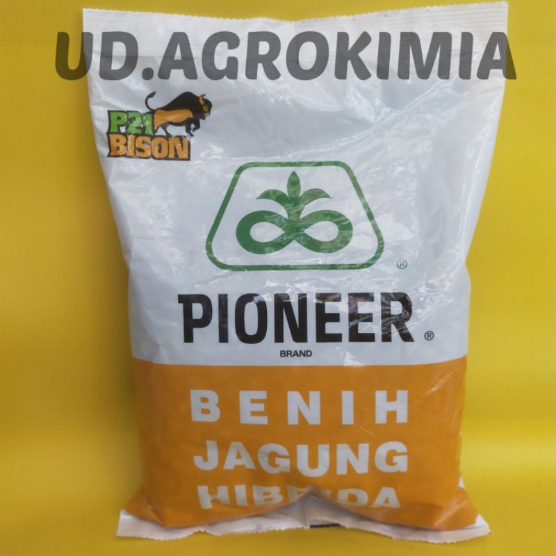 P21 BENIH JAGUNG HIBRIDA PIONEER 1KG
