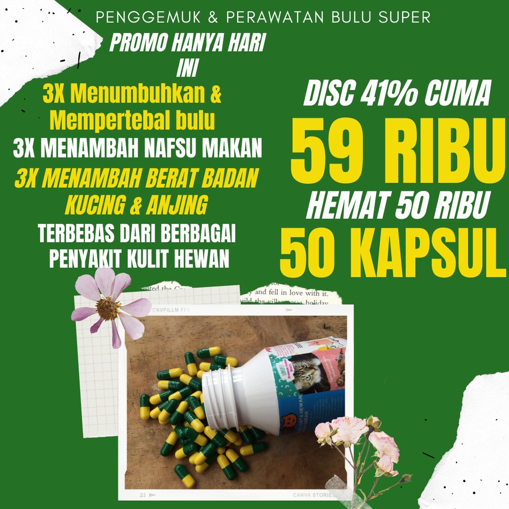 Vitamin Kucing Hamil Vitamin Kucing Menyusui Obat Vitamin Kucing Kesehatan Kucing Vitamin Untuk Kuci