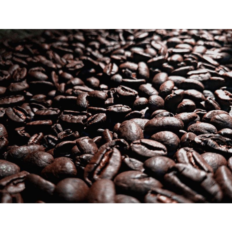 

kopi arabika gayo /aceh