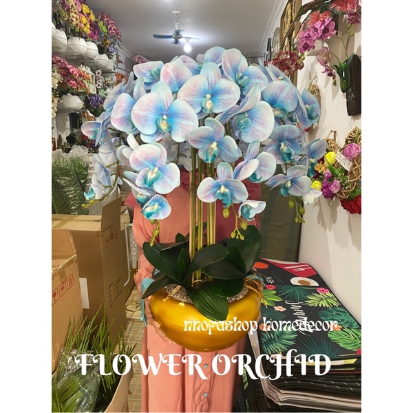 BUNGA ANGGREK LATEX VAS GOLD/ ANGGREK LATEX VAS CENDOL/ ANGGREK BULAN LATEX