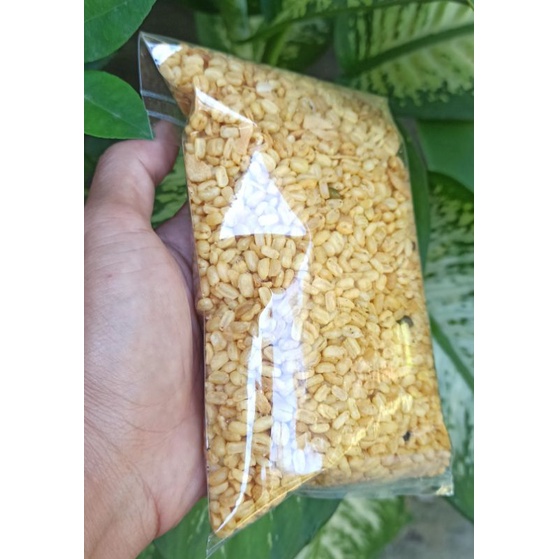 

kacang hijau 250g