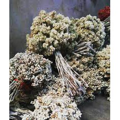 WOODEN DECOR - DEKORASI - BUNGA DANDELION KRISAN PALSU - BUNGA EDELWEIS - PAJANGAN BUNGA ARTIFICIA-5