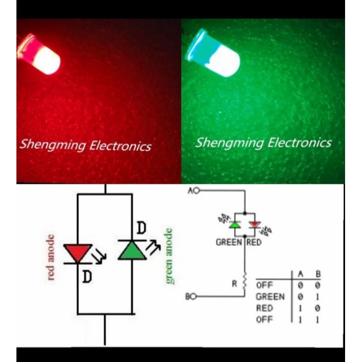 LED BIPOLAR 2 WARNA RED GREEN 3 MM 5 MM 2 PIN