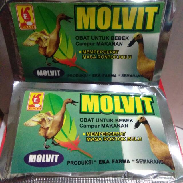 Obat rontok bulu MOLVIT