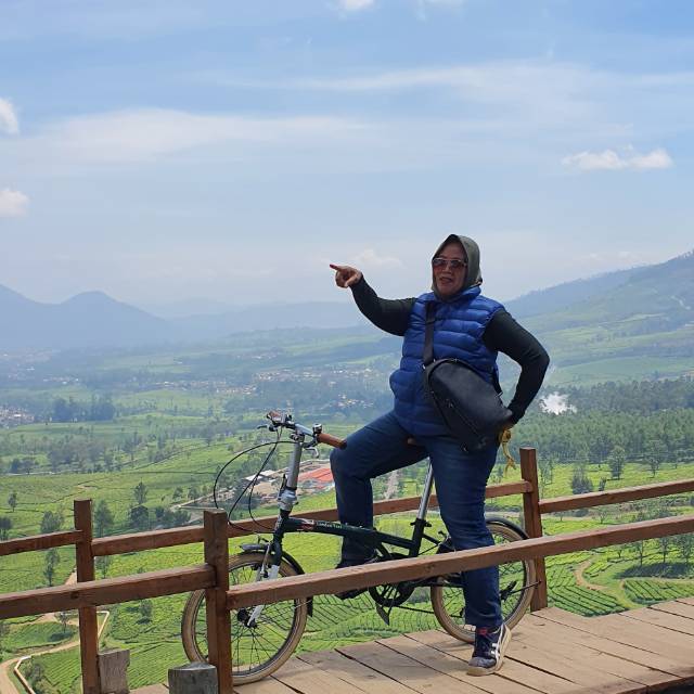 sitimulyani71