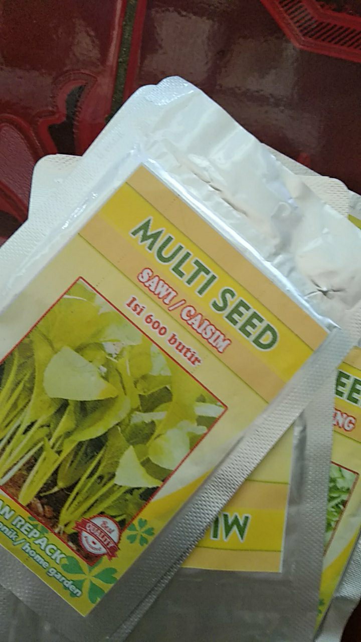 Bibit Terong Lalap Parkit Isi 10 Gram. Benih Terong. Bibit Terong Bulat. Biji Terong