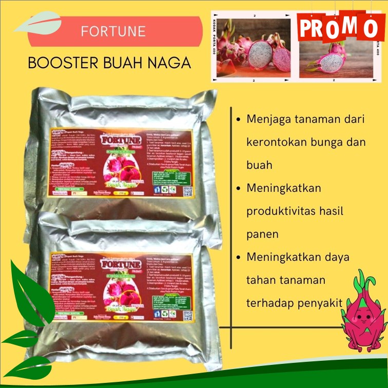 Pupuk Buah Naga Agar Cepat Berbuah, Booster Buah Naga Pupuk Buah Naga Agar Berbuah Lebat