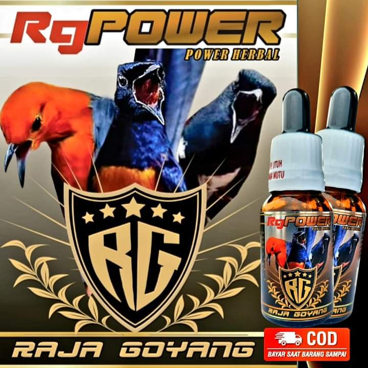 RG POWER Herbal Murai Batu vitamin herbal penggacor burung murai batu bongkar isian dan karakter