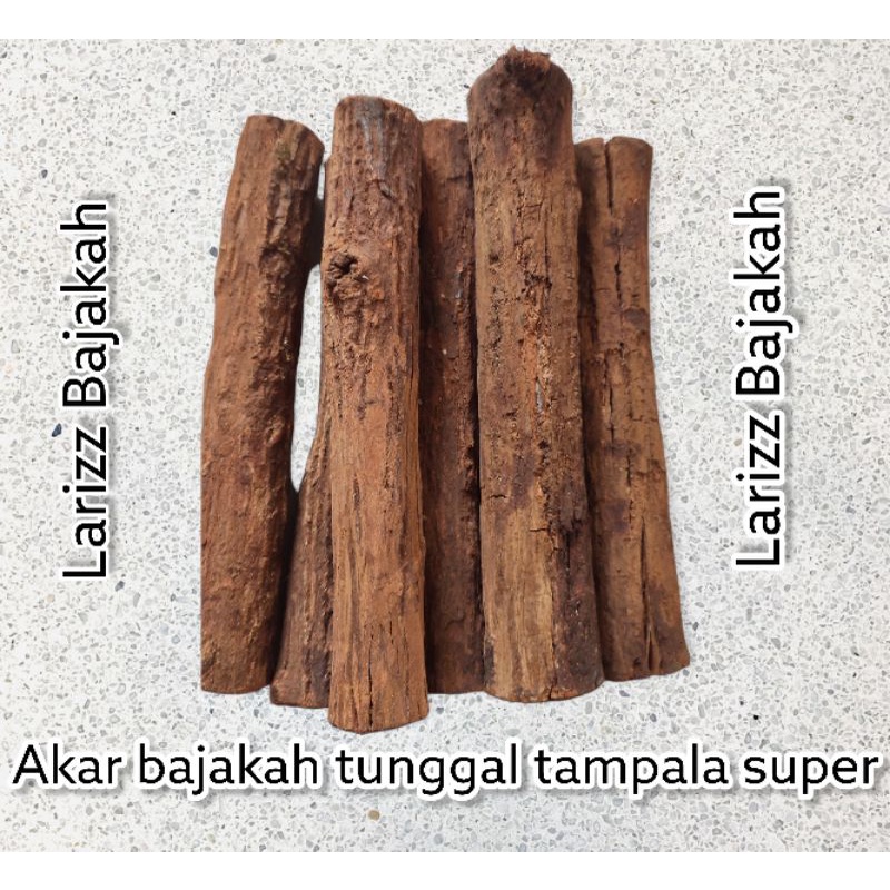Akar bajakah tunggal kayu tampala 1kg original kalimantan