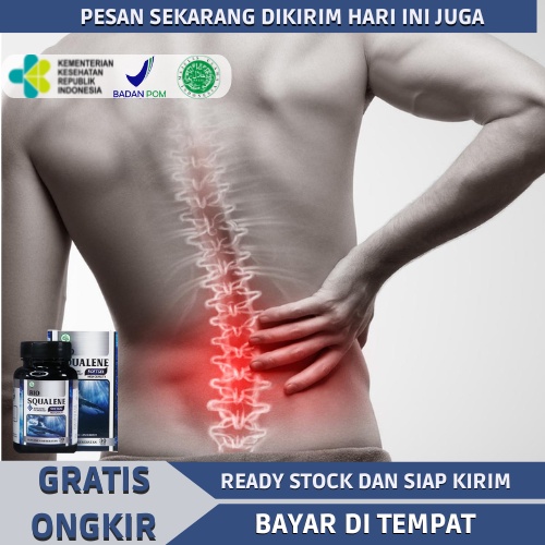 Jual Obat Sakit Tulang Belakang Sakit Punggung Tulang Belikat Nyeri