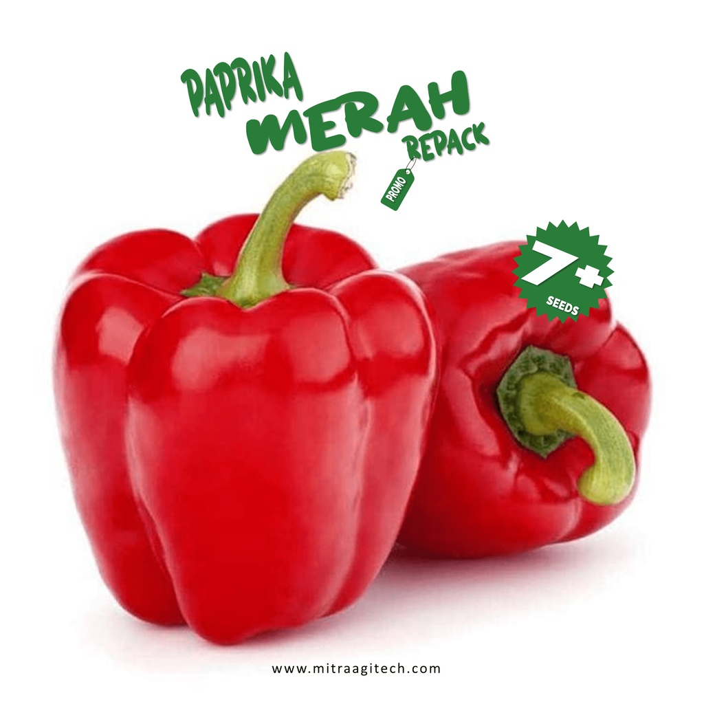 Jual BENIH BIBIT PAPRIKA MERAH ISI 7 BIJI KEMASAN REPACK ECERAN ZIPLOCK Shopee Indonesia