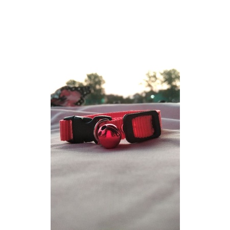 kalung kucing lonceng grosir murah meriah