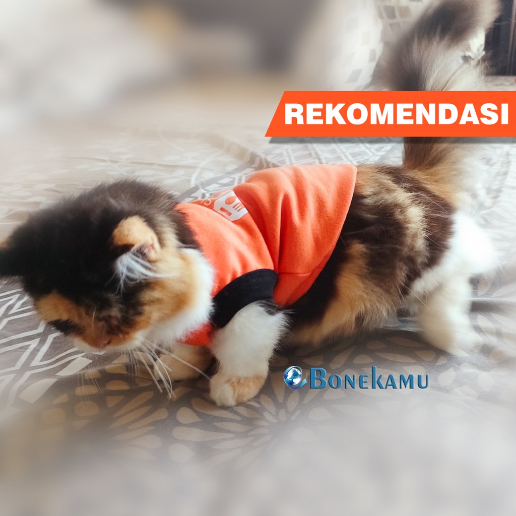 [REKOMENDASI] BAJU KUCING BAJU ANJING KELINCI MOTIF DRIVER ONLINE